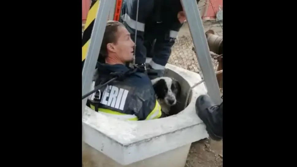 Cățelul a stat aproape 2 ore în apa rece a fântânii. Foto/Captură video