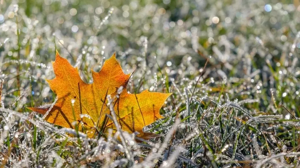 Alertă meteo. Cod galben de fenomene periculoase, în următoarele ore - cele mai afectate județe