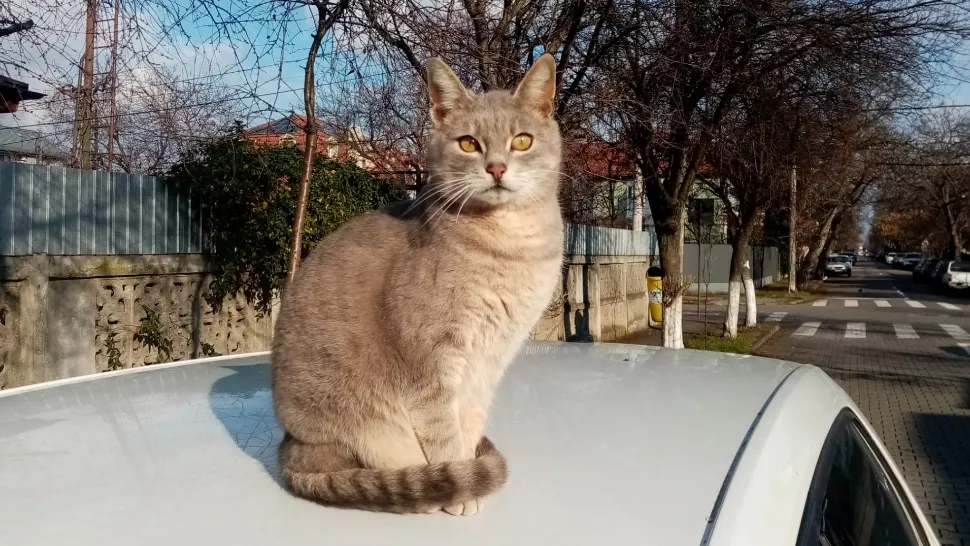 Vreme de primăvară în februarie