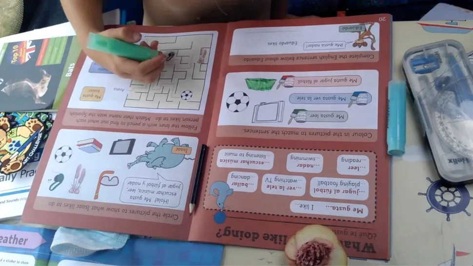 Homeschooling/ Foto: Profimedia