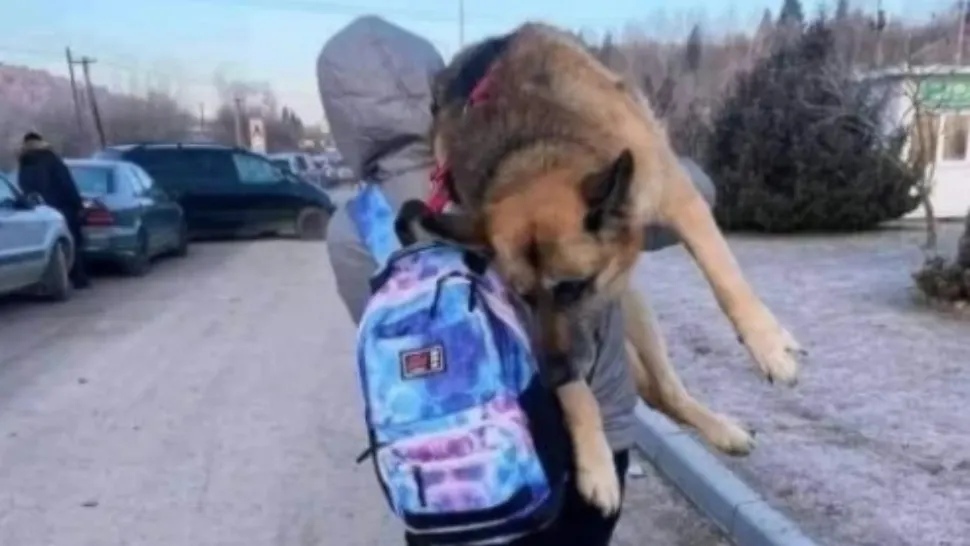 O femeie din Ucraina şi-a cărat 17 kilometri câinele pe umăr: Nu l-am putut abandona - FOTO