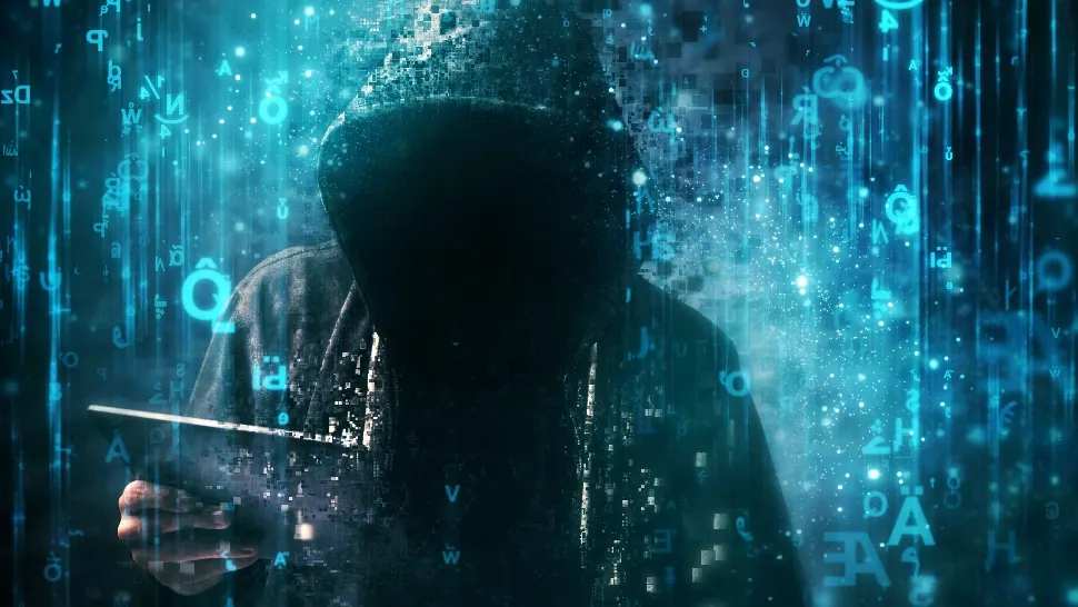 Hackerii pro-ruși au atacat site-uri guvernamentale din Germania. Foto/Profimedia