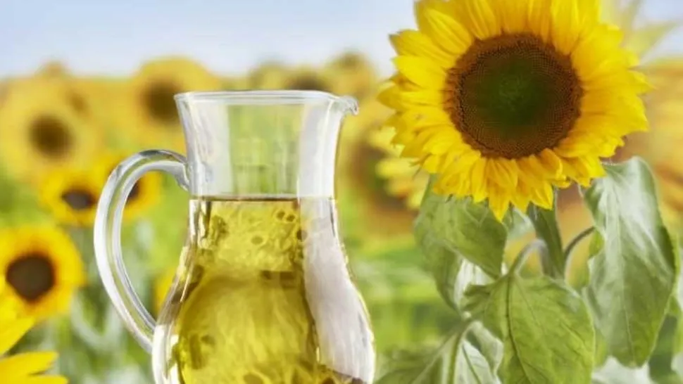 Producția scăzută de floarea soarelui pune bețe în roate fermierilor. Alertă alimentară: scumpirea uleiului este iminentă