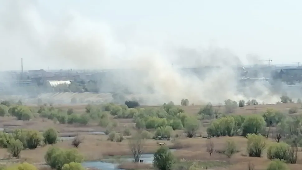 Incendiu/ Foto: Facebook: Parcul Natural Văcărești