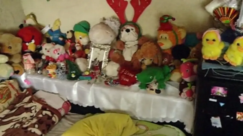 Povestea tatălui care își crește fiica în sărăcie lucie