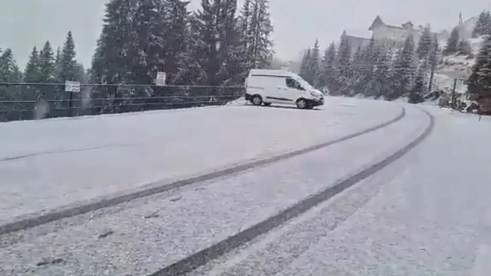 A nins abundent la Rânca