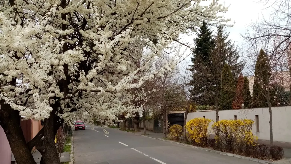 Prognoza meteo pe o lună. Cum va fi vremea de 1 Mai și când vom simți că a venit primăvara