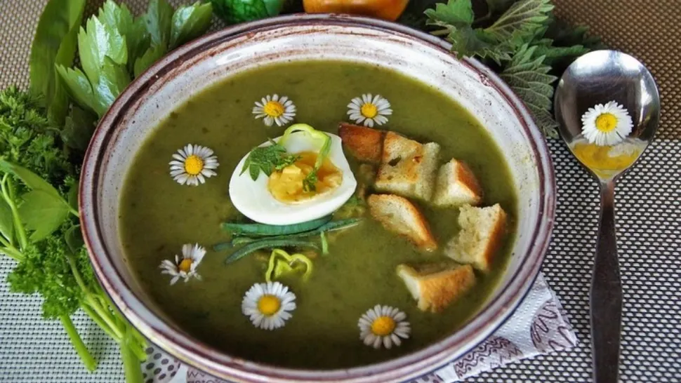 Ciorbă de urzici - cea mai delicioasă rețetă. Un singur ingredient face diferența