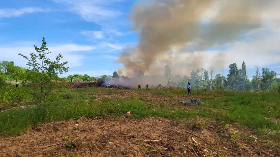Incendiu în Parcul Grozăvești. Foto/