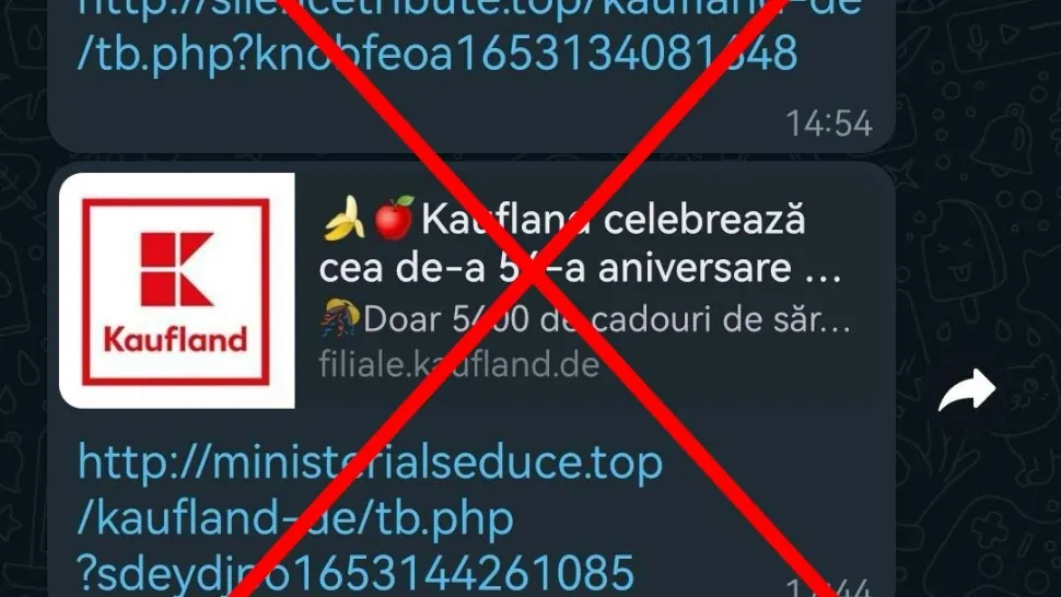 Tentativă de fraudă în numele Kaufland. Foto/Profimedia