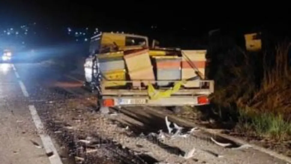 Accident în Botoșani, polițiștii au fost ATACAȚI de albine - FOTO + VIDEO