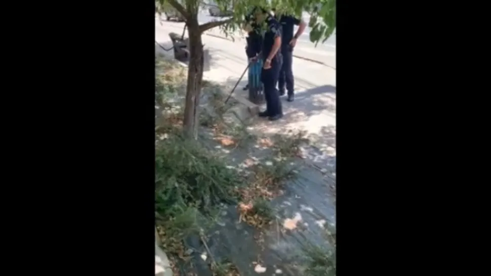 Șarpe capturat de jandarmi lângă spital și eliberat pe malul râului Siret - VIDEO