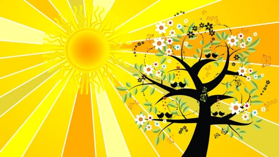 Solstitiu de vara