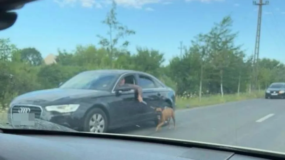 Sursa foto: INFO TRAFIC Timiș