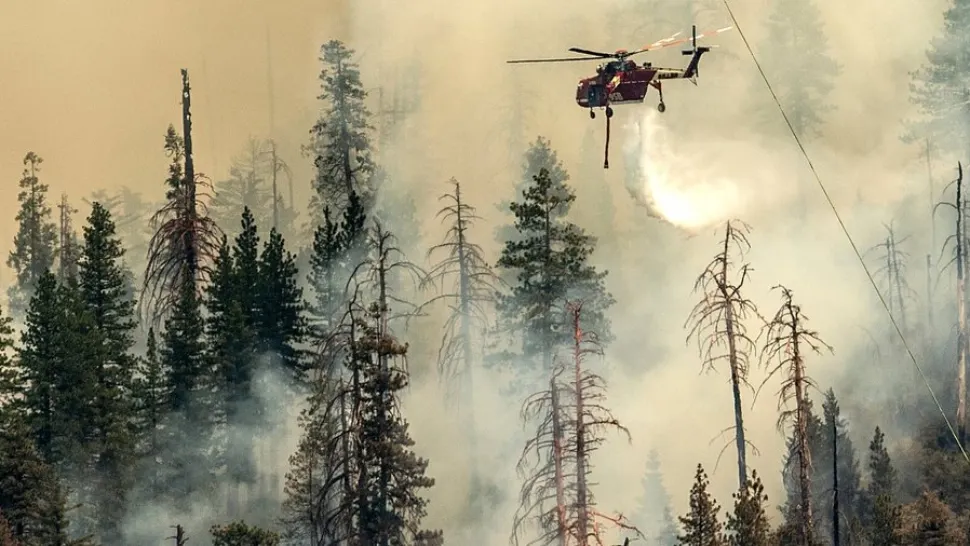 Sursa foto: Twitter / The New York Times