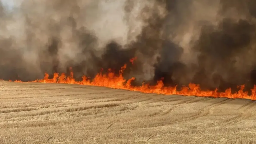 Incendiu uriaș pe Litoral. Un lan de grâu a luat loc lângă Năvodari, panică pe plajă - VIDEO