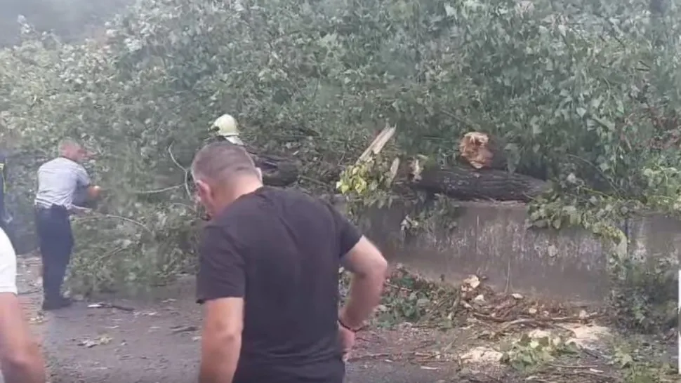 Vijeliile au făcut ravagii în țară. Captură video