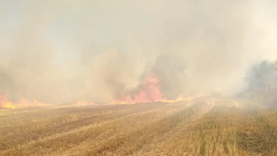 Incendiu uriaș în Alba