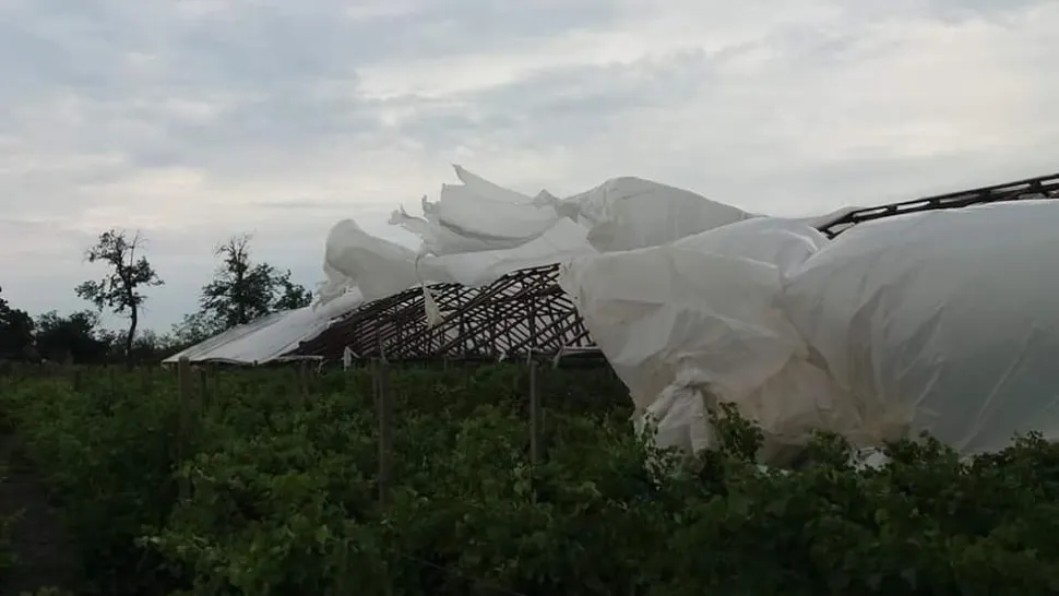 Zeci de solarii, distruse de furtună. Fermierii sunt disperați - FOTO&VIDEO