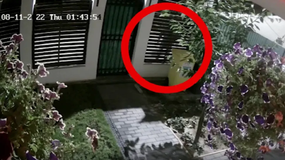 Hoți / Captură video