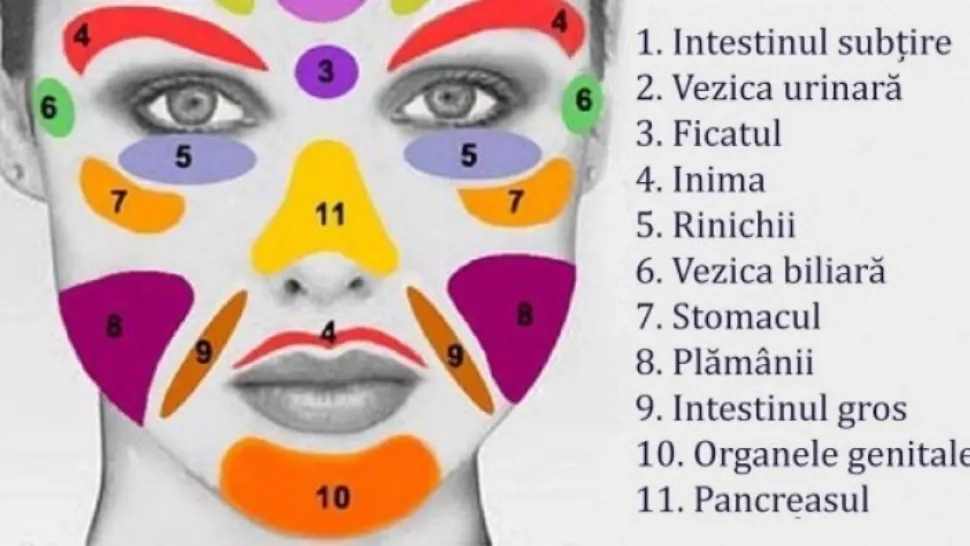 Toate BOLILE din corp ţi se citesc pe faţă. Ce legătură este între ten şi organele interne
