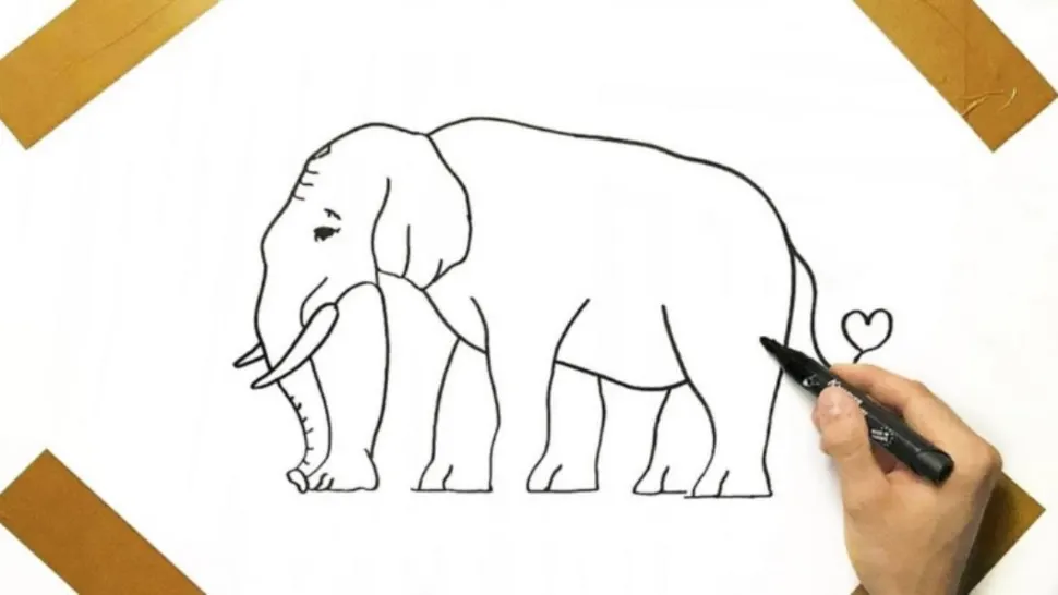 Iluzia optică perfectă! Câte picioare are elefantul din imagine? Doar geniile știu răspunsul corect