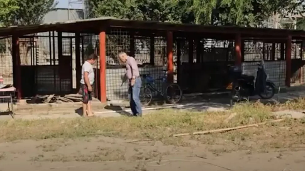 Primarul din Calafat, în vizită la „biroul” viceprimarului. Foto/Profimedia
