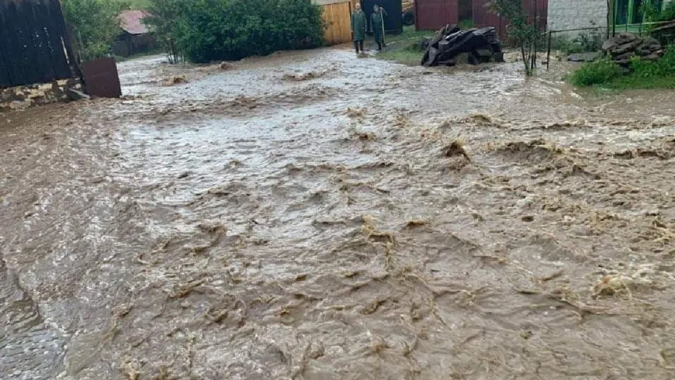 Foto cu caracter ilustrativ / Arhivă