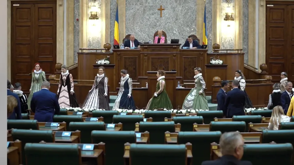 Senat/ Captură video Alina Gorghiu