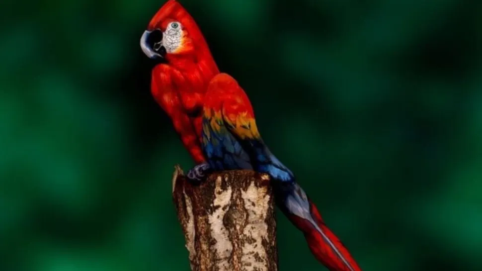 Iluzia optică perfectă: tu descoperi femeia ascunsă în doar 5 secunde?