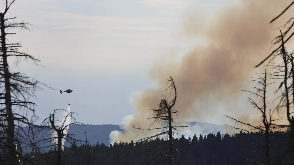 Incendiu de pădure în Germania / Foto: Profi Media