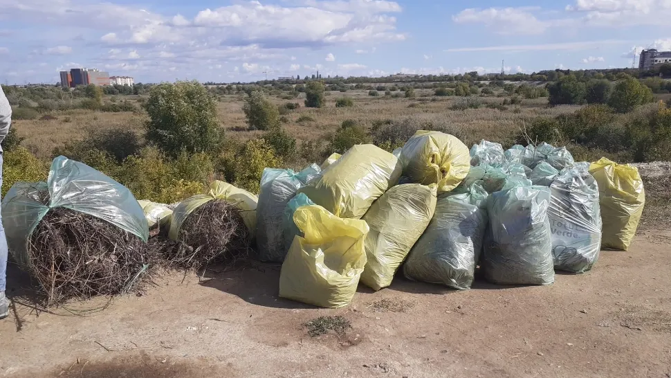 Totul Verde participă la o amplă acțiune de curățenie în Parcul Văcărești. Peste 105 tone de deșeuri au fost adunate