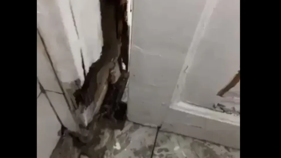 Hol Academie de Poliție/ Captură video