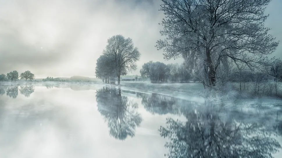 Sursa foto: Pixabay