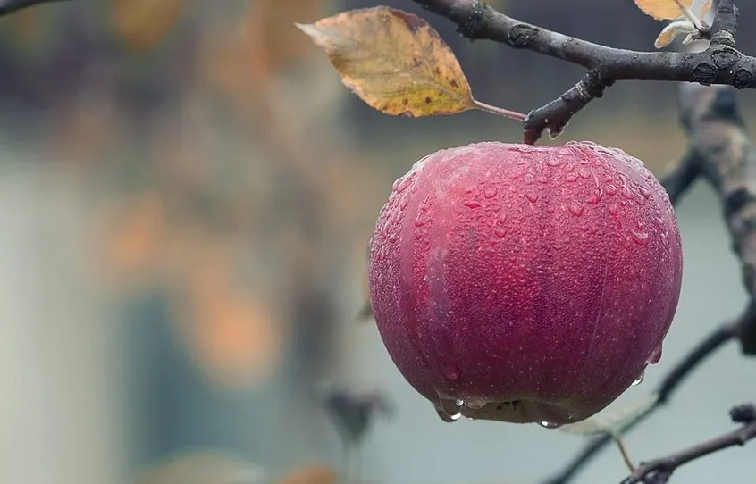 Prognoza meteo pe două săptămâni - zonele lovite de ploi și frig