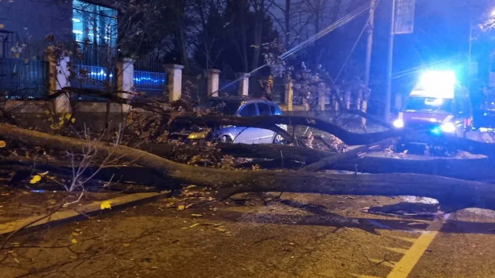 Incident teribil în Capitală, în fața Jandarmeriei - Un bărbat, rănit grav în stația de autobuz după ce un copac a căzut
