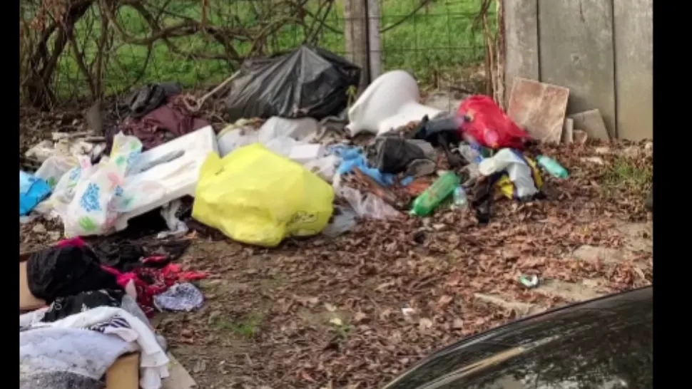 Gunoaie Timișoara/ Captură video Facebook Nicolae Robu