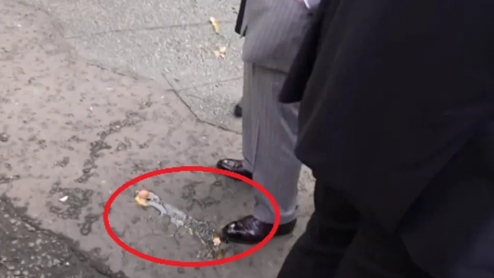 Protest împotriva regelui Charles/ Captură video Twitter