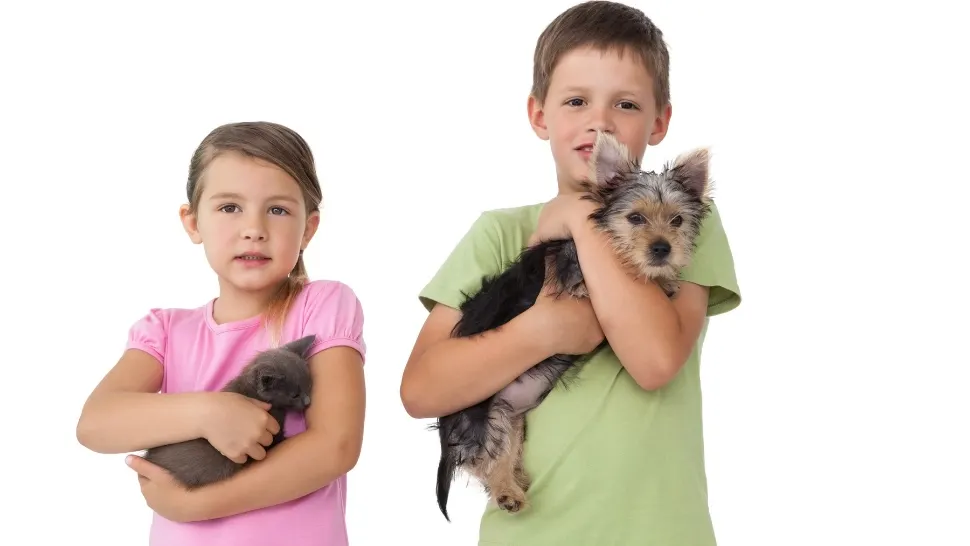 Animalele de companie, benefice pe lângă om. Foto/Profimedia