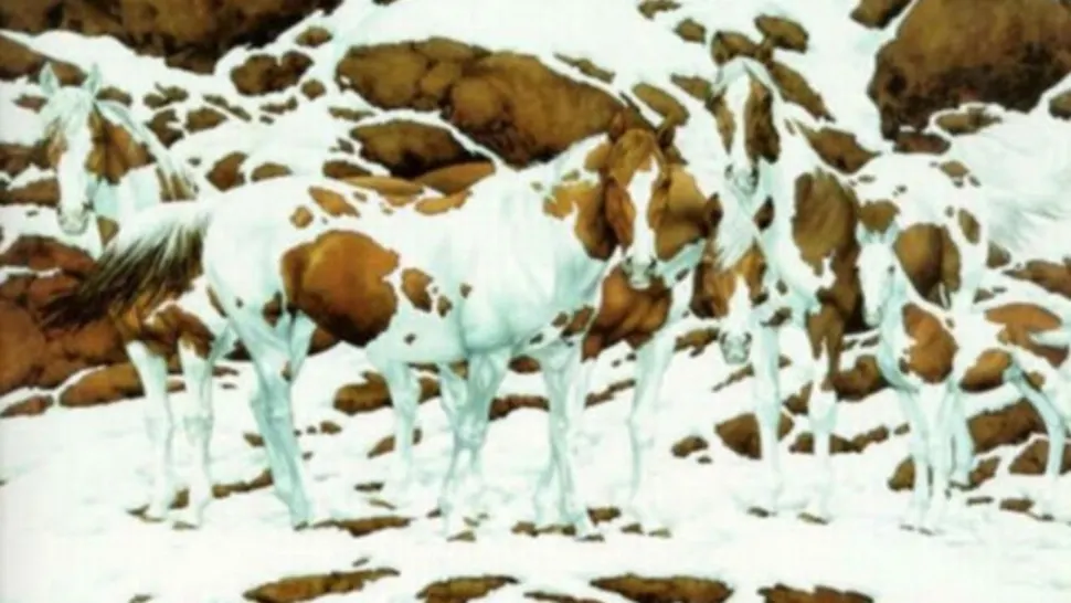 Această iluzie optică înfăţişând mai mulţi cai îți testează mintea la maximum: câte animale sunt în poză?