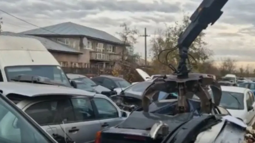 Grămadă de mașini abandonate pe un câmp în Jilava. Foto/Profimedia