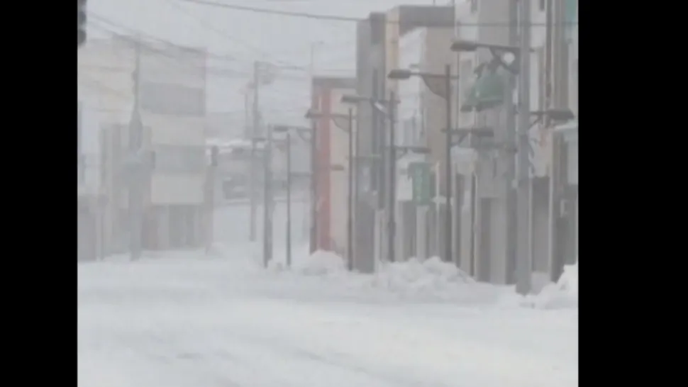 Ninsori Japonia/ Foto: Twitter Sky News