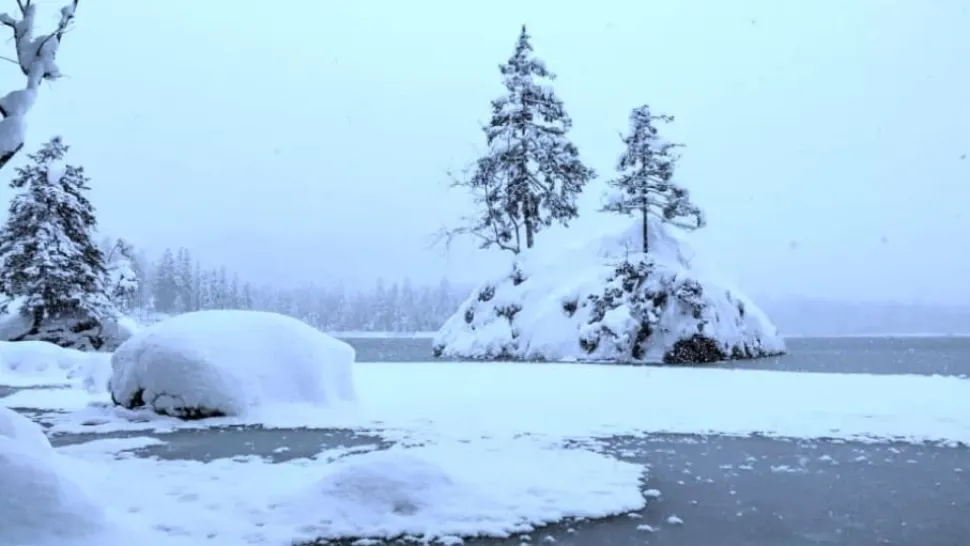 Cea mai grea iluzie optică de iarnă. Găsește ursul polar în 15 secunde