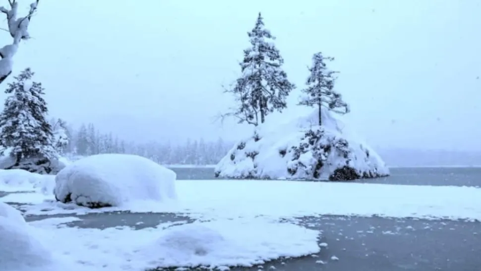 Cea mai grea iluzie optică de iarnă. Găsește ursul polar în 15 secunde - numai cei cu inteligență peste medie reușesc