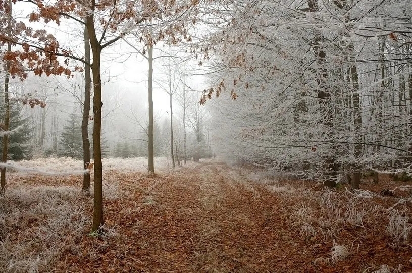 Meteorologii anunță o lună ianuarie cum n-a mai fost - temperaturi anormale în România