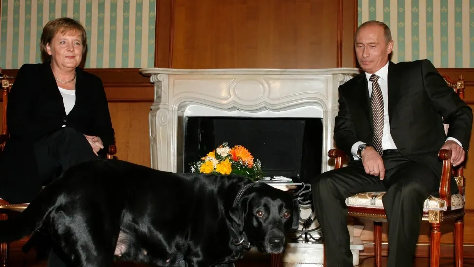 Putin, dezamăgit de Merkel: "Poate ar fi trebuit ca războiul să înceapă mai devreme"