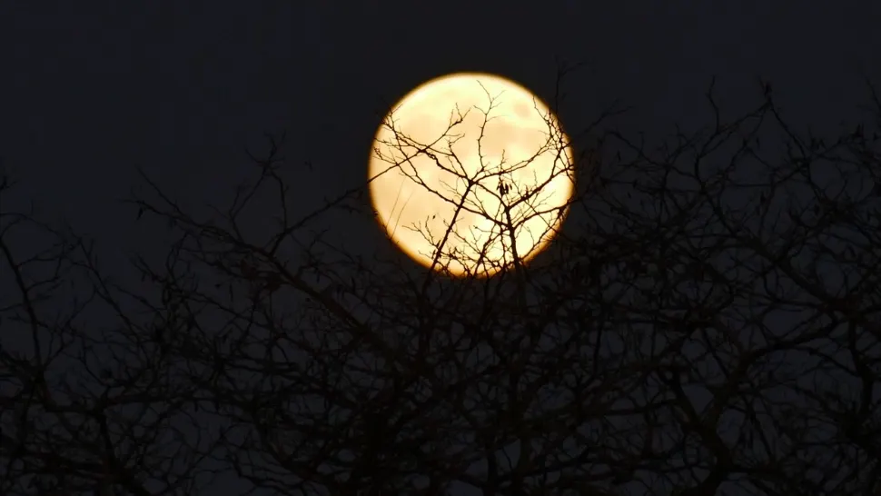 "Luna Rece" și eclipsă de Marte, fenomen astronomic rar, în noaptea de miercuri spre joi