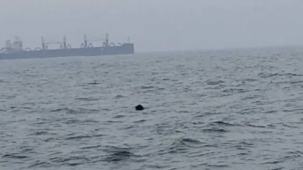 Mină marină, descoperită în apropierea Portului Constanţa