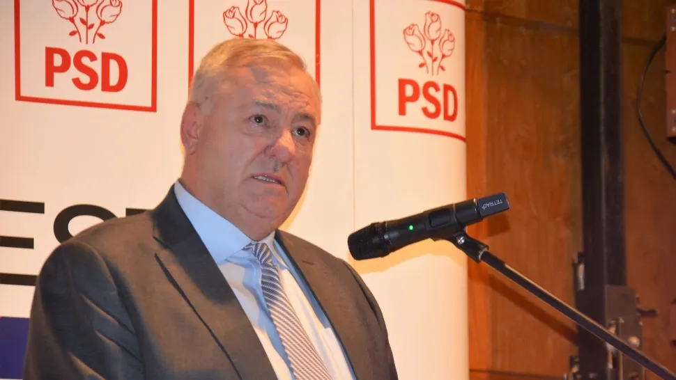 Ioan Stan, senator PSD