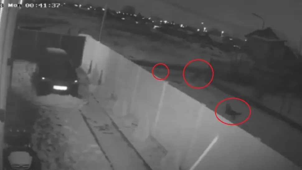VIDEO șocant. Maidanezii au revenit pe strada unde Ana Oros a fost sfâșiată până la moarte de câini
